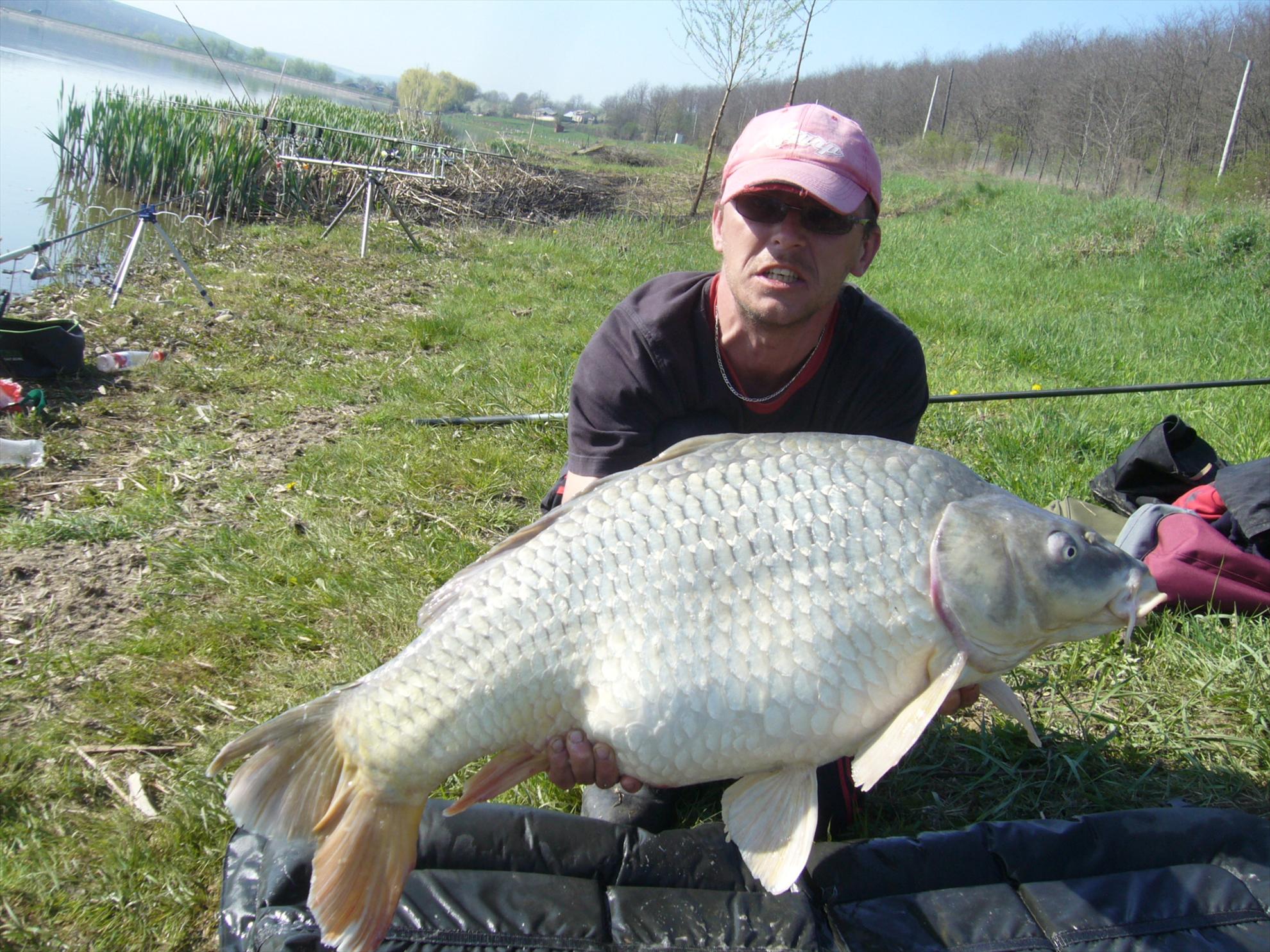 Horgesti 24-25.04.2013 - p1130973.JPG